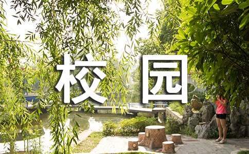 职业篮球教练如何制定有效的赛制训练计划?_1
